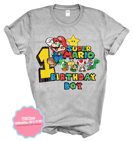 Birthday Boy-Super Mario Bros-1
