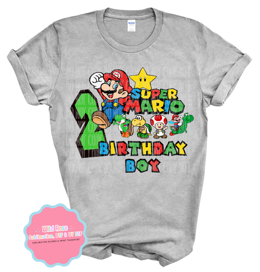 Birthday Boy-Super Mario Bros-2