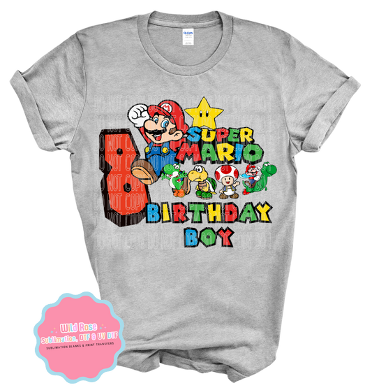 Birthday Boy-Super Mario Bros-8